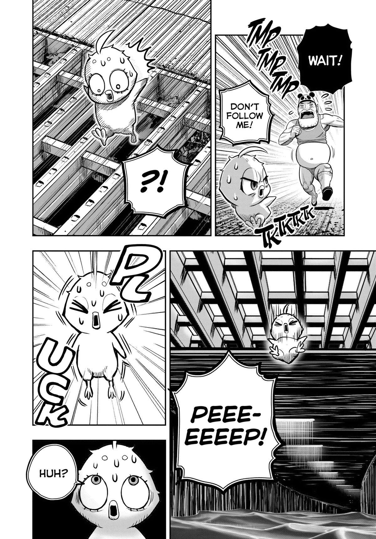 Read Rooster Fighter Manga Online