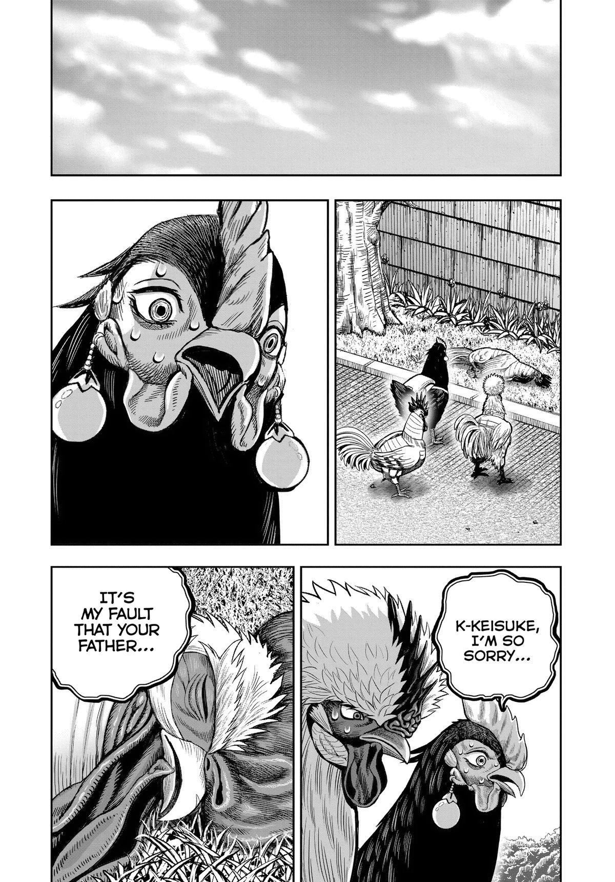 Read Rooster Fighter Manga Online