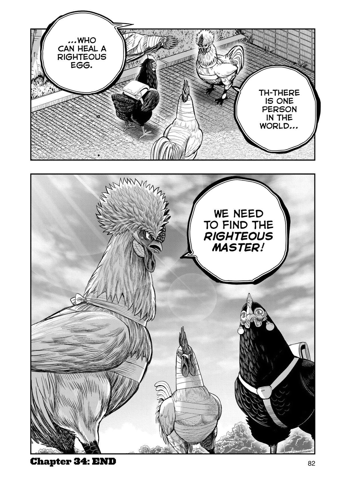 Read Rooster Fighter Manga Online