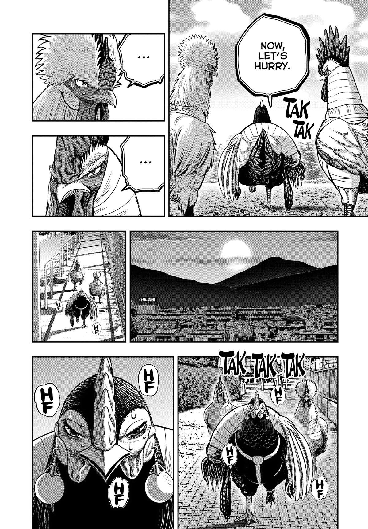 Read Rooster Fighter Manga Online