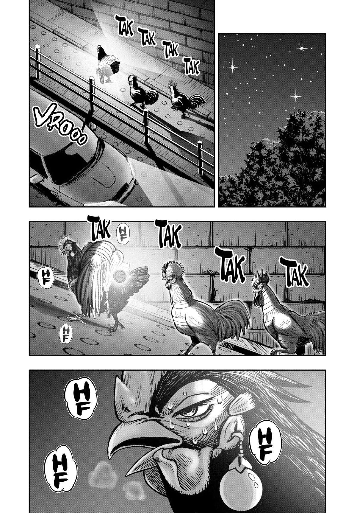 Read Rooster Fighter Manga Online