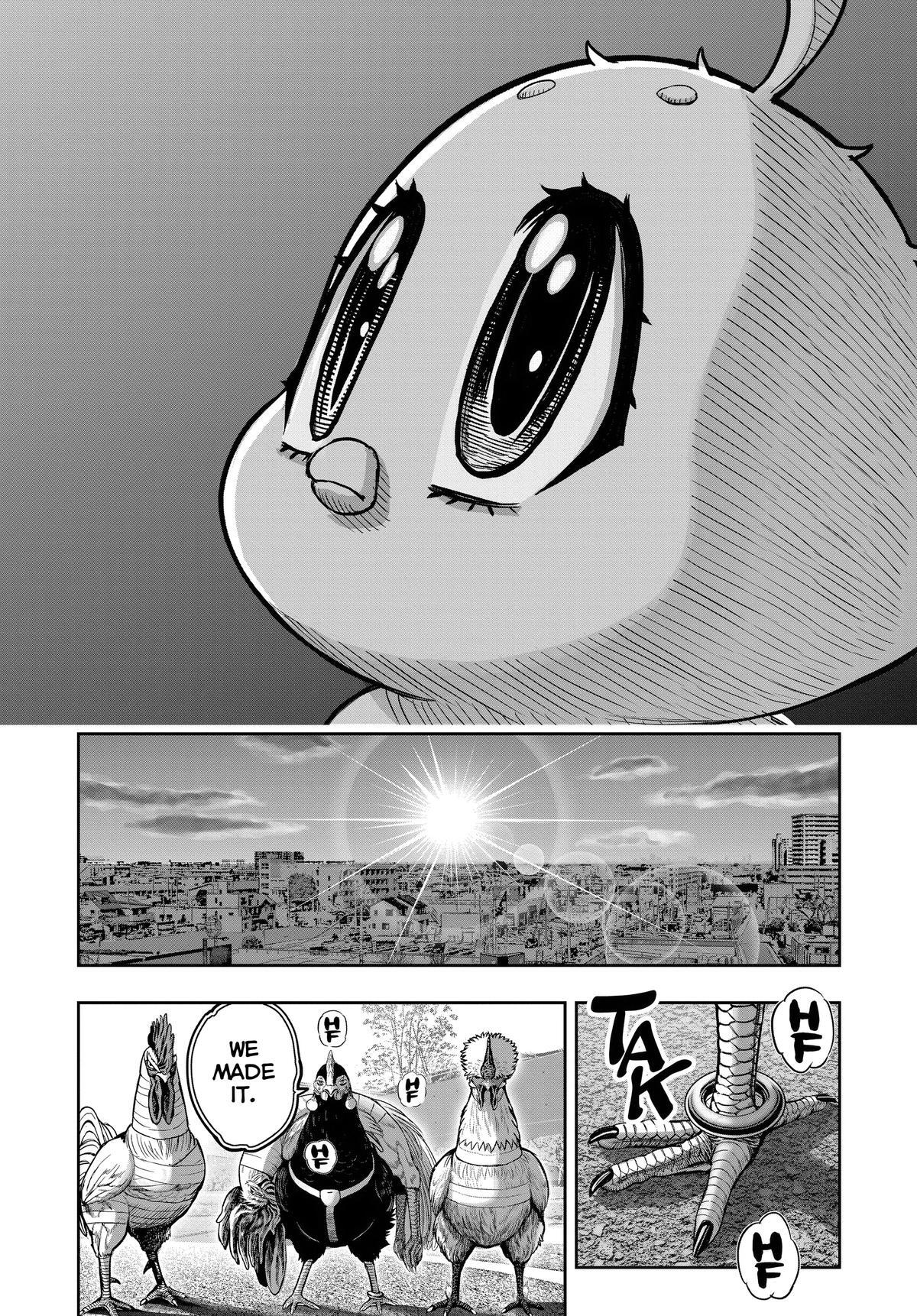 Read Rooster Fighter Manga Online