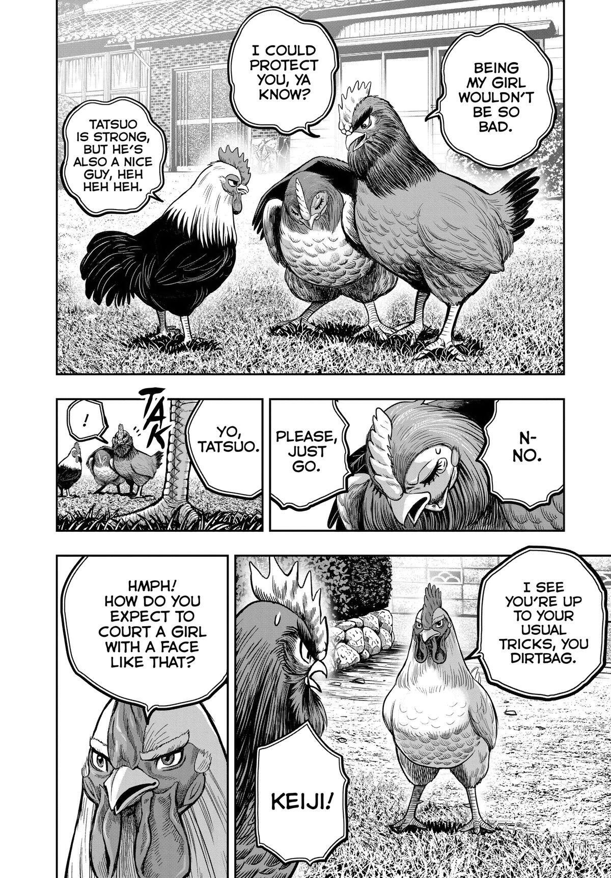 Read Rooster Fighter Manga Online