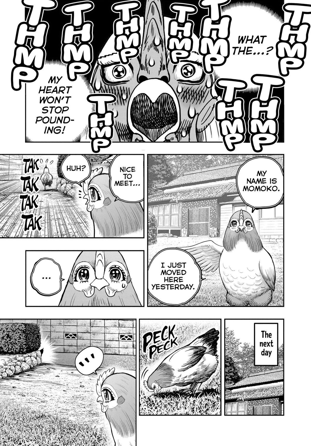 Read Rooster Fighter Manga Online