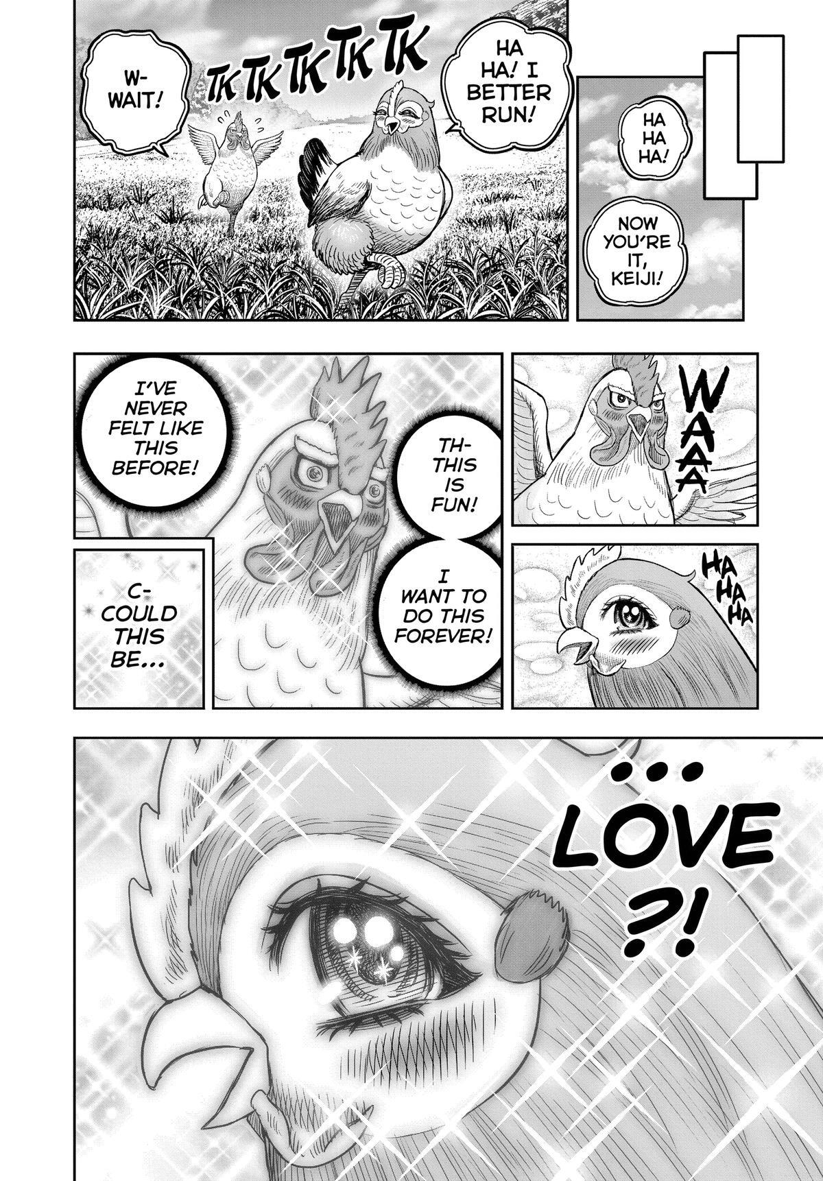 Read Rooster Fighter Manga Online
