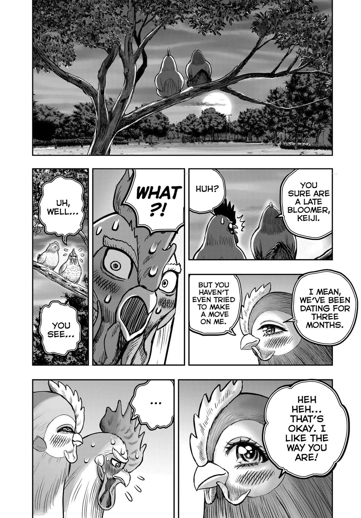 Read Rooster Fighter Manga Online