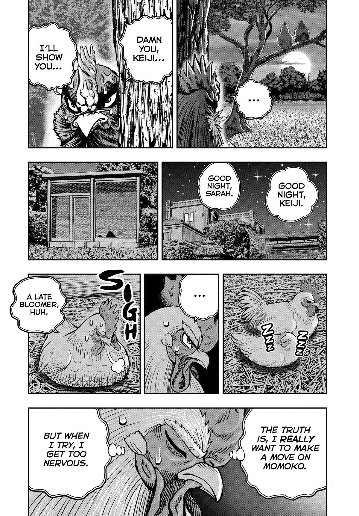 Read Rooster Fighter Manga Online