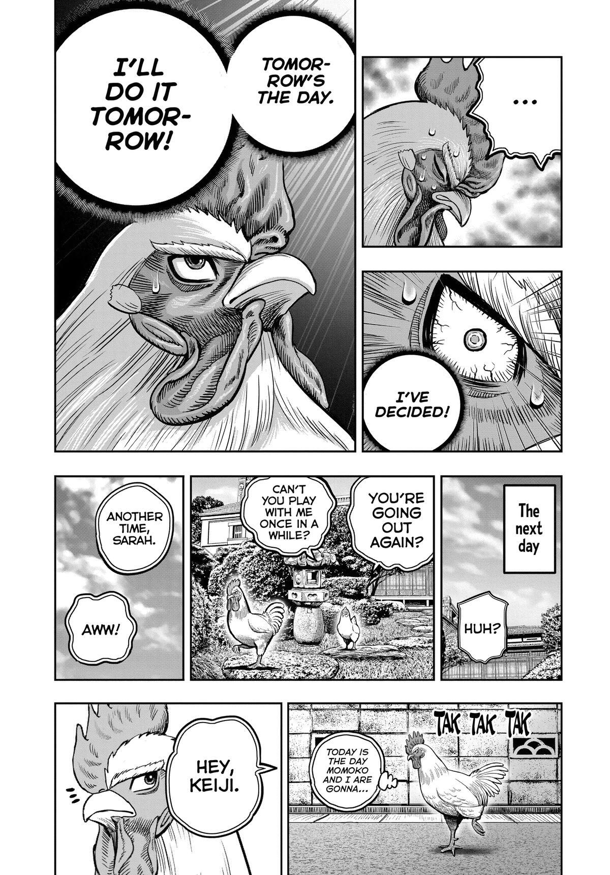 Read Rooster Fighter Manga Online