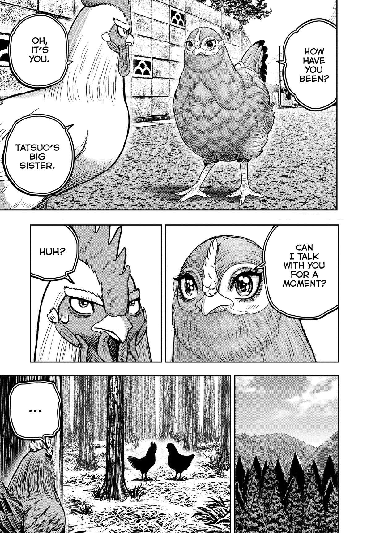 Read Rooster Fighter Manga Online
