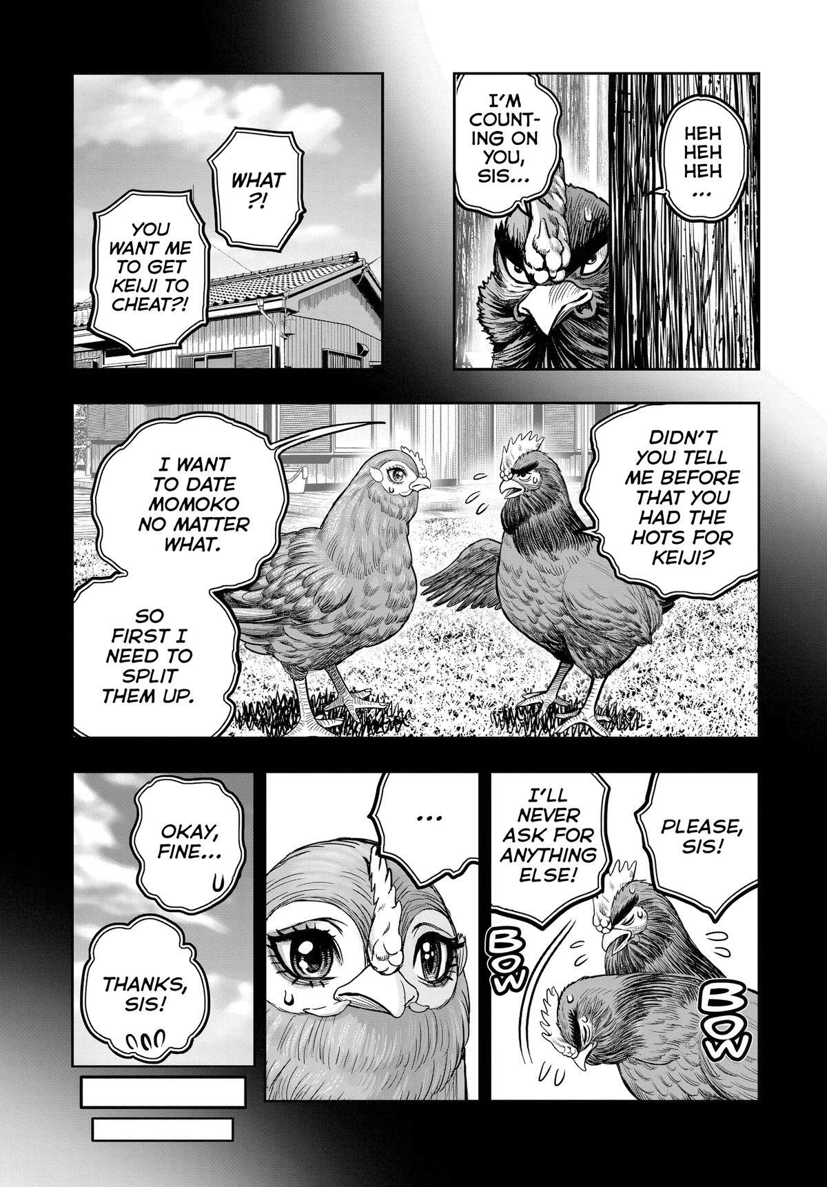 Read Rooster Fighter Manga Online