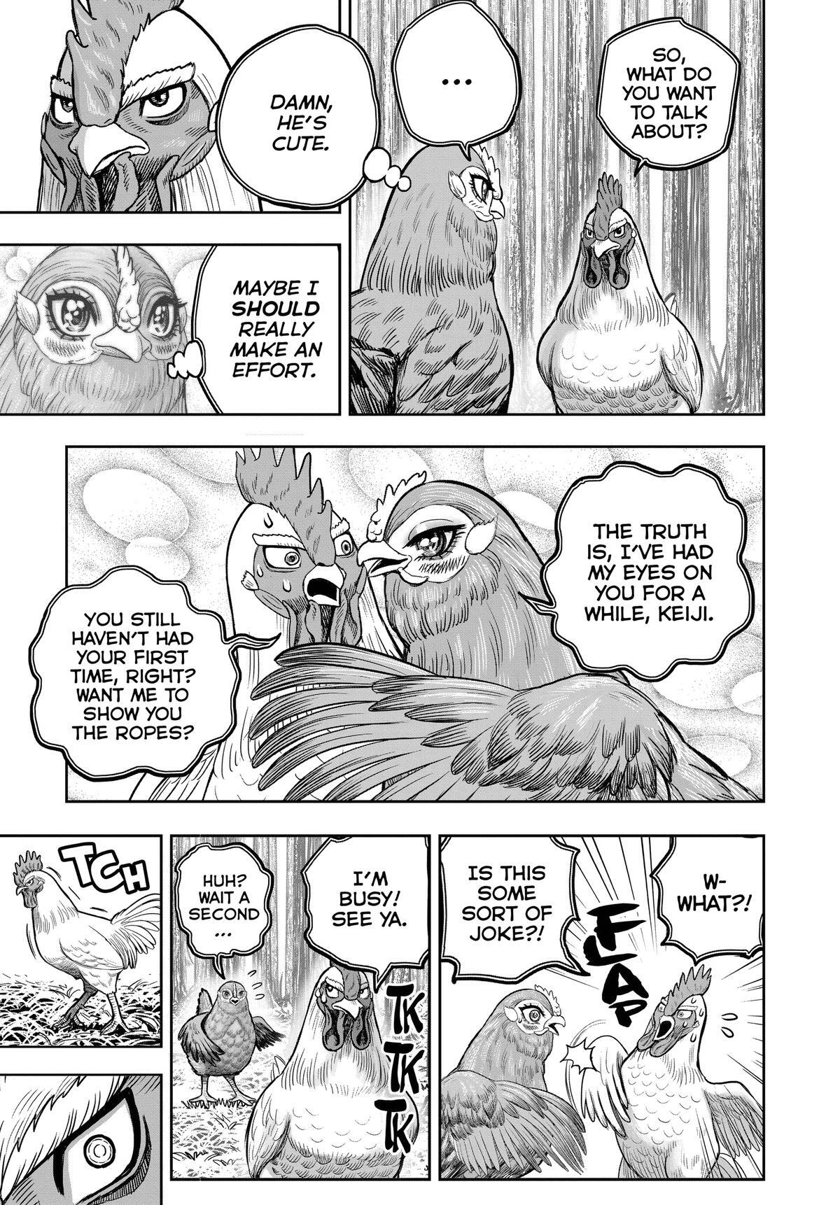 Read Rooster Fighter Manga Online