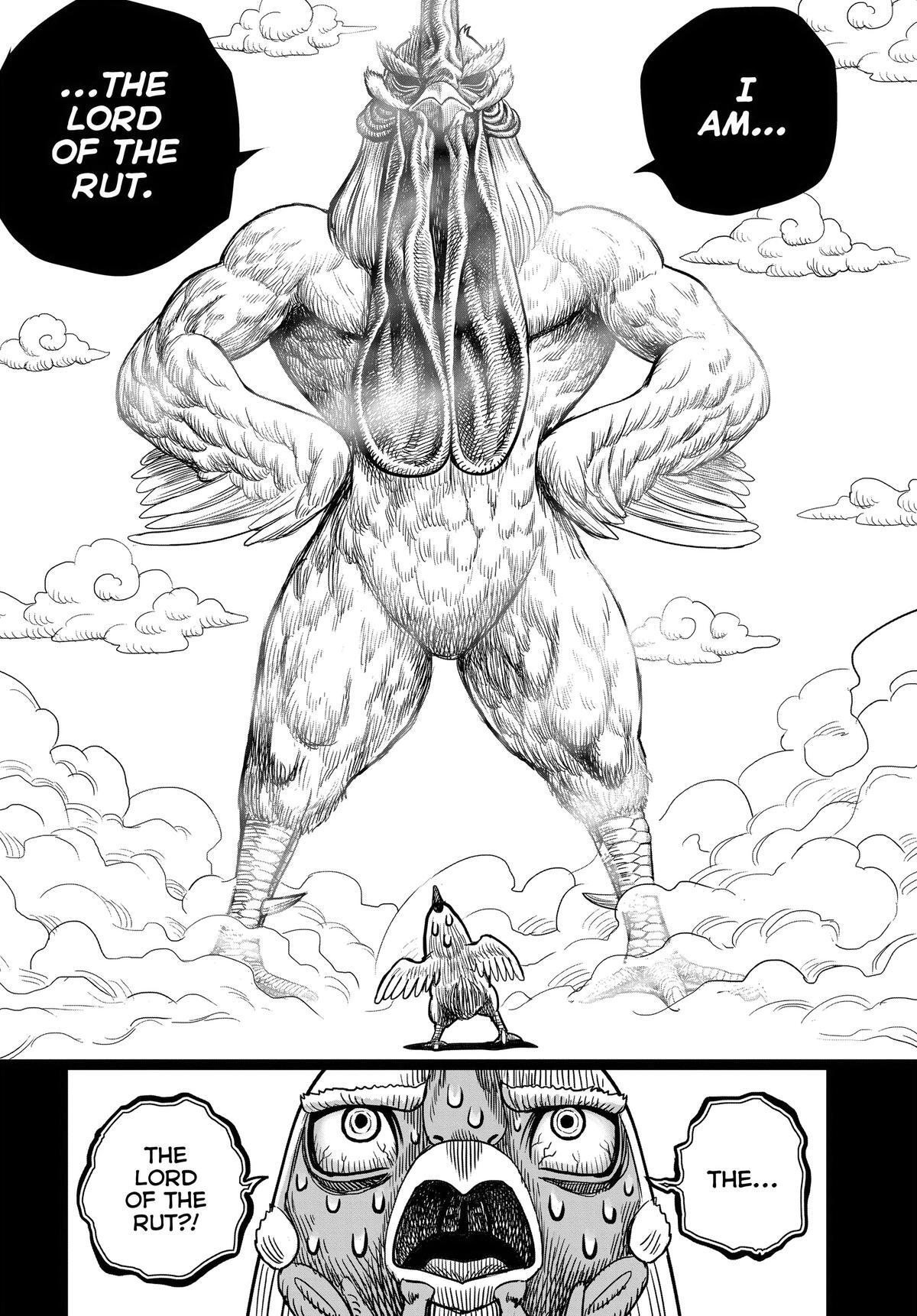 Read Rooster Fighter Manga Online