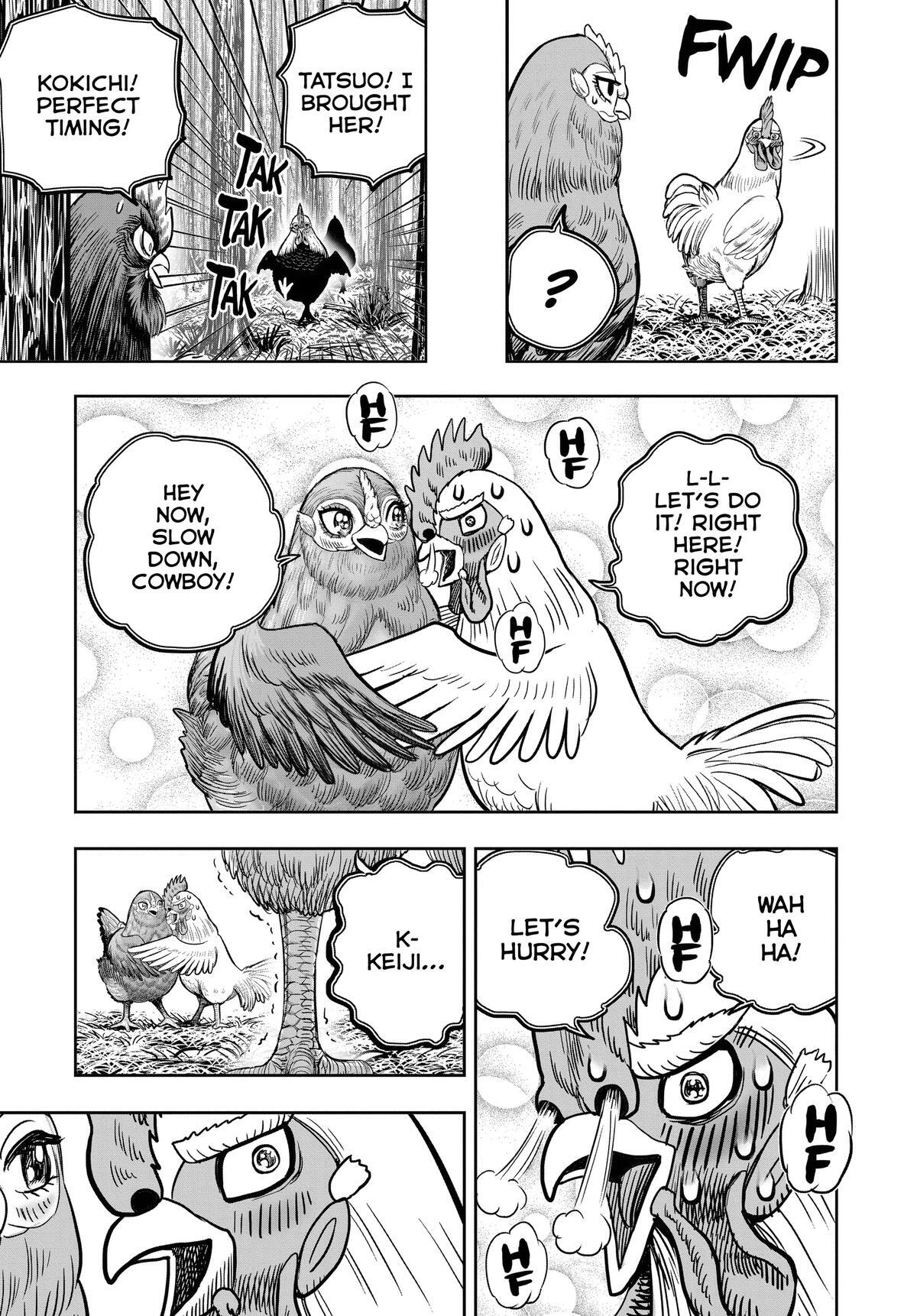 Read Rooster Fighter Manga Online