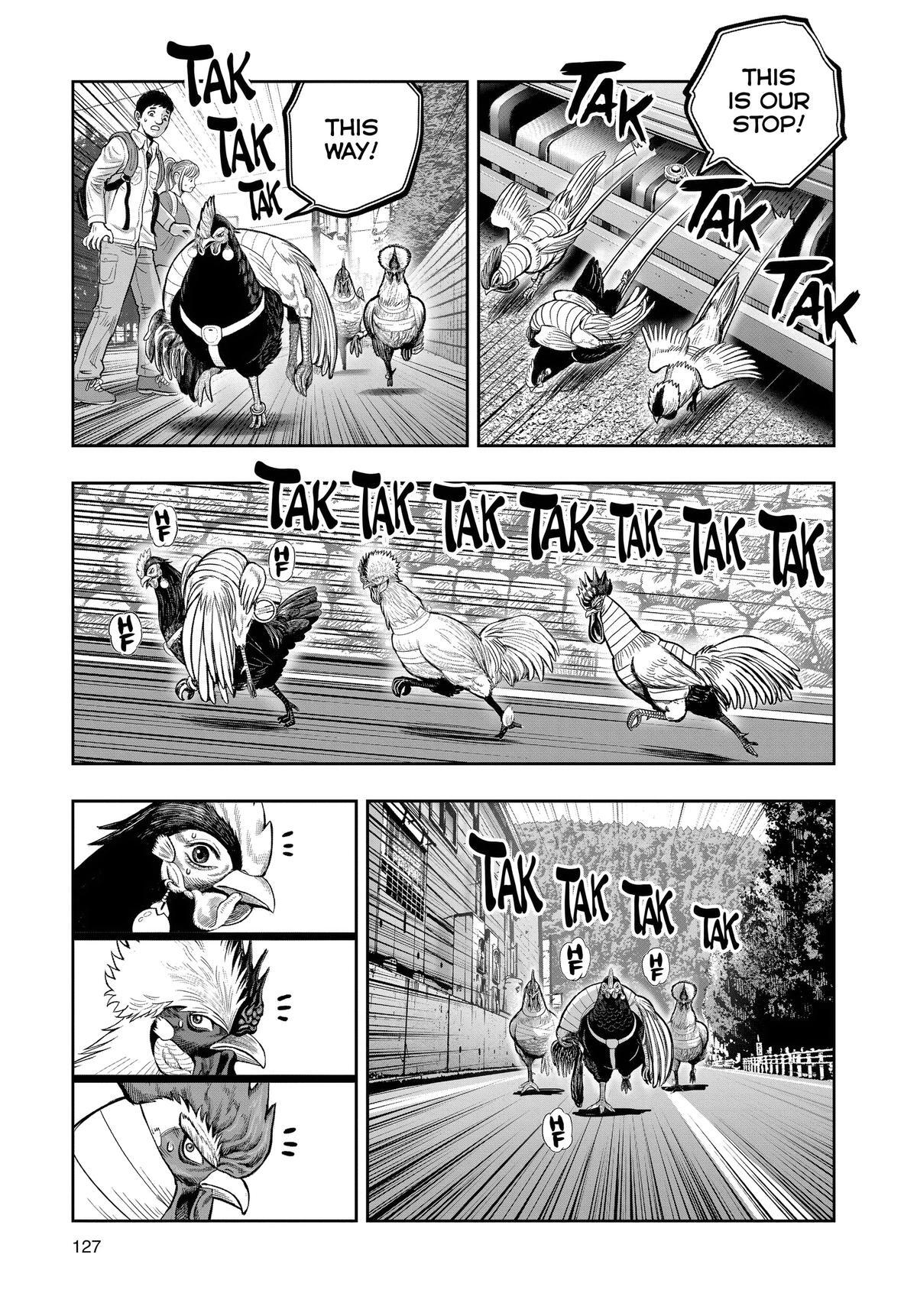 Read Rooster Fighter Manga Online