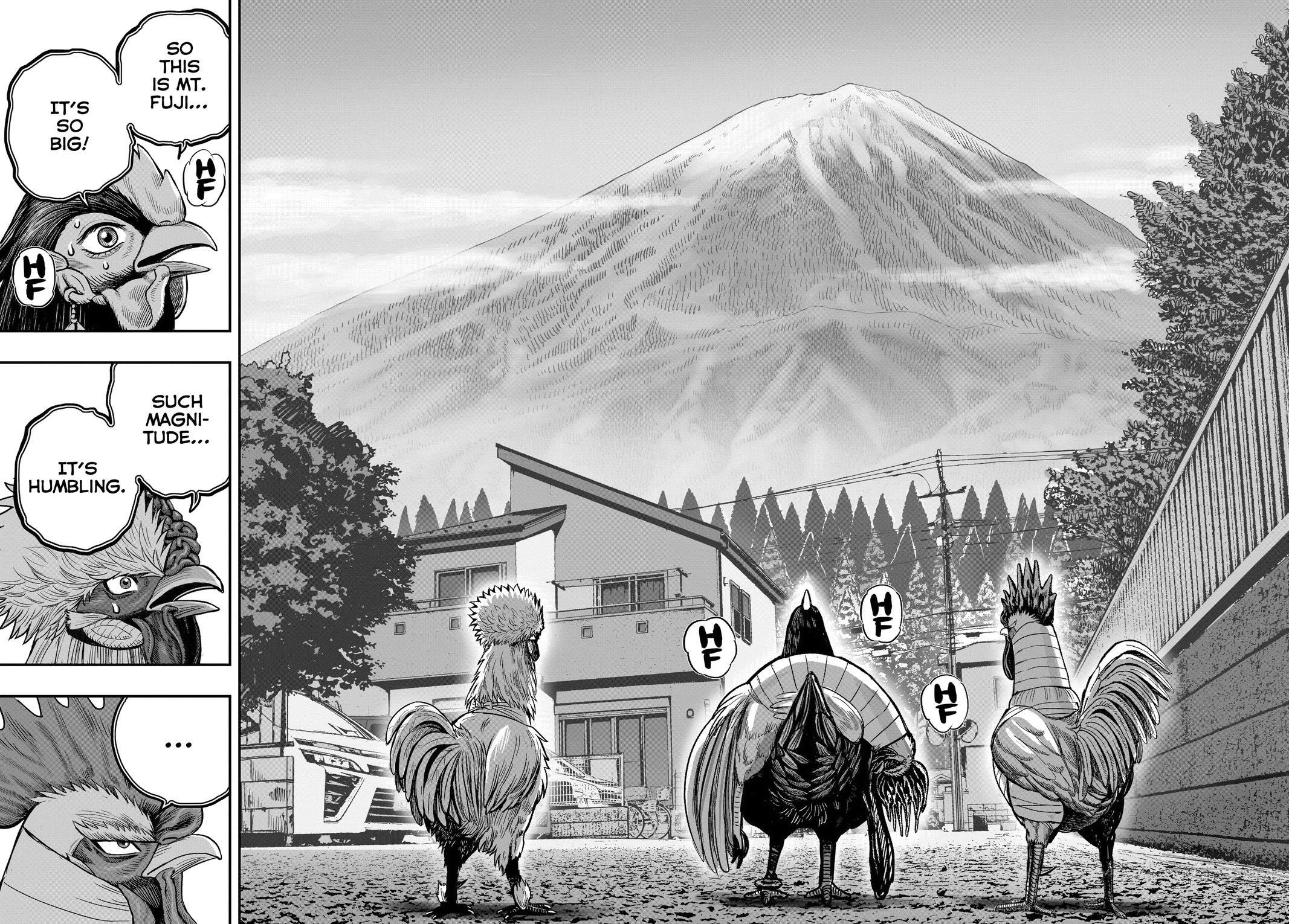 Read Rooster Fighter Manga Online