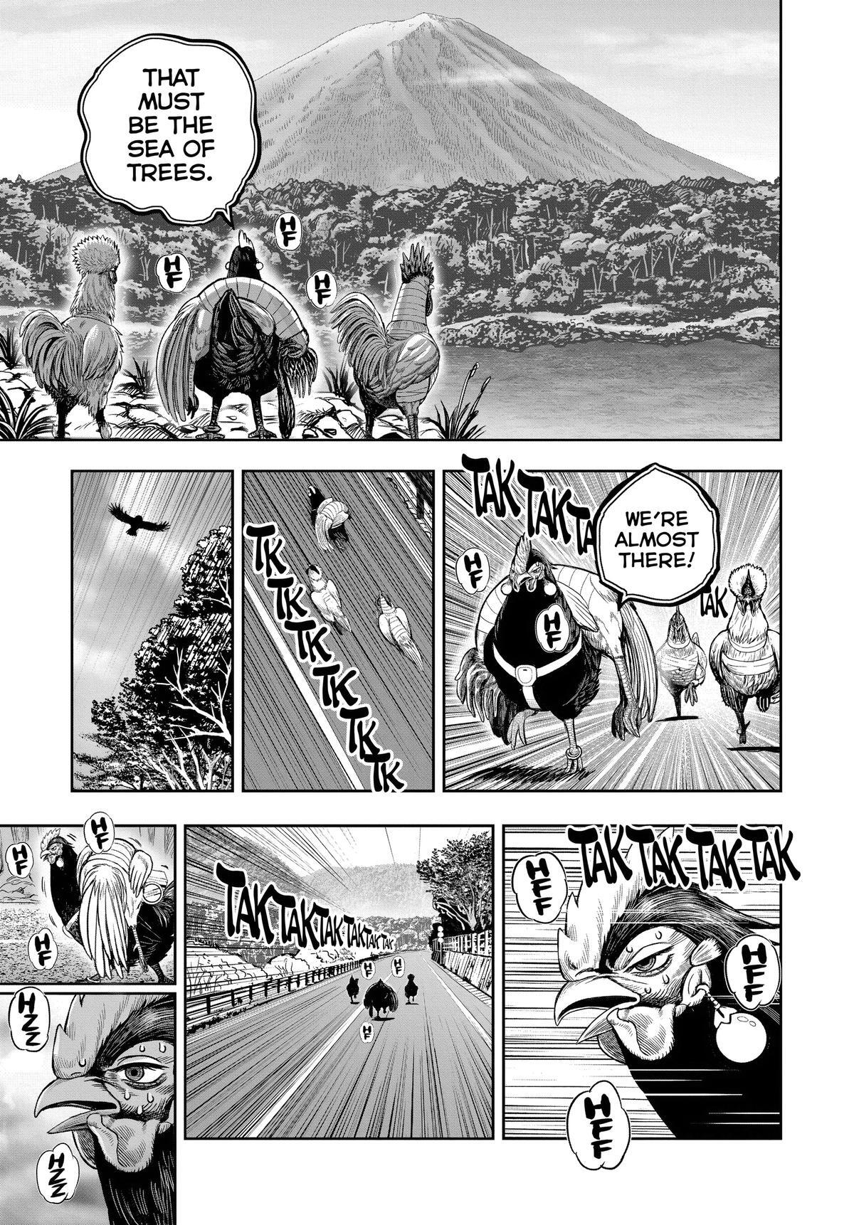 Read Rooster Fighter Manga Online