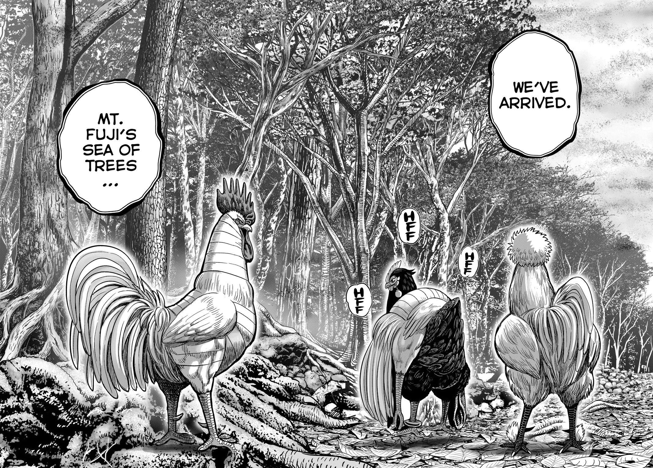 Read Rooster Fighter Manga Online