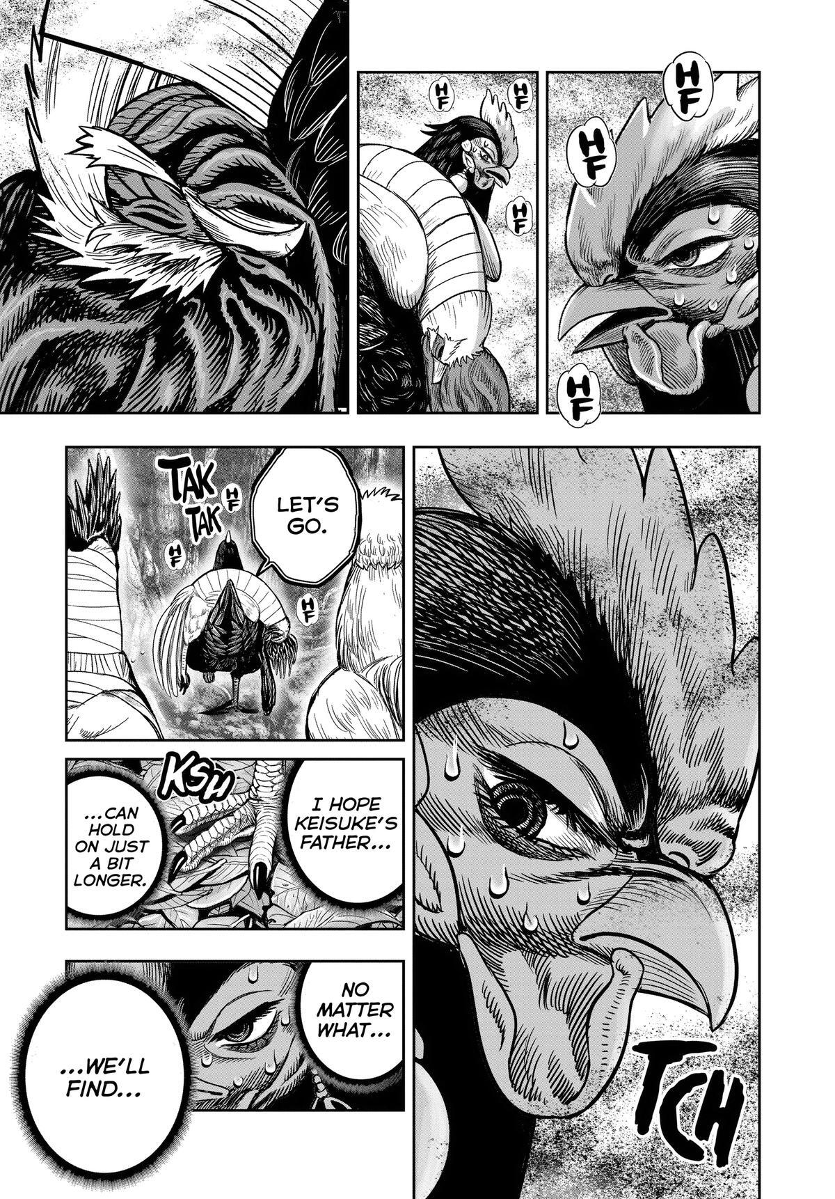 Read Rooster Fighter Manga Online