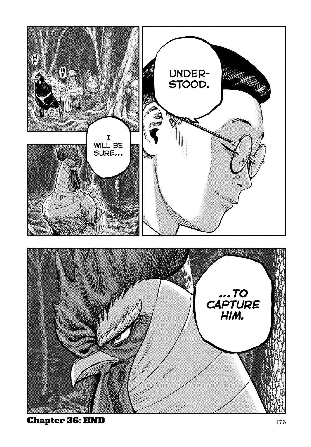 Read Rooster Fighter Manga Online