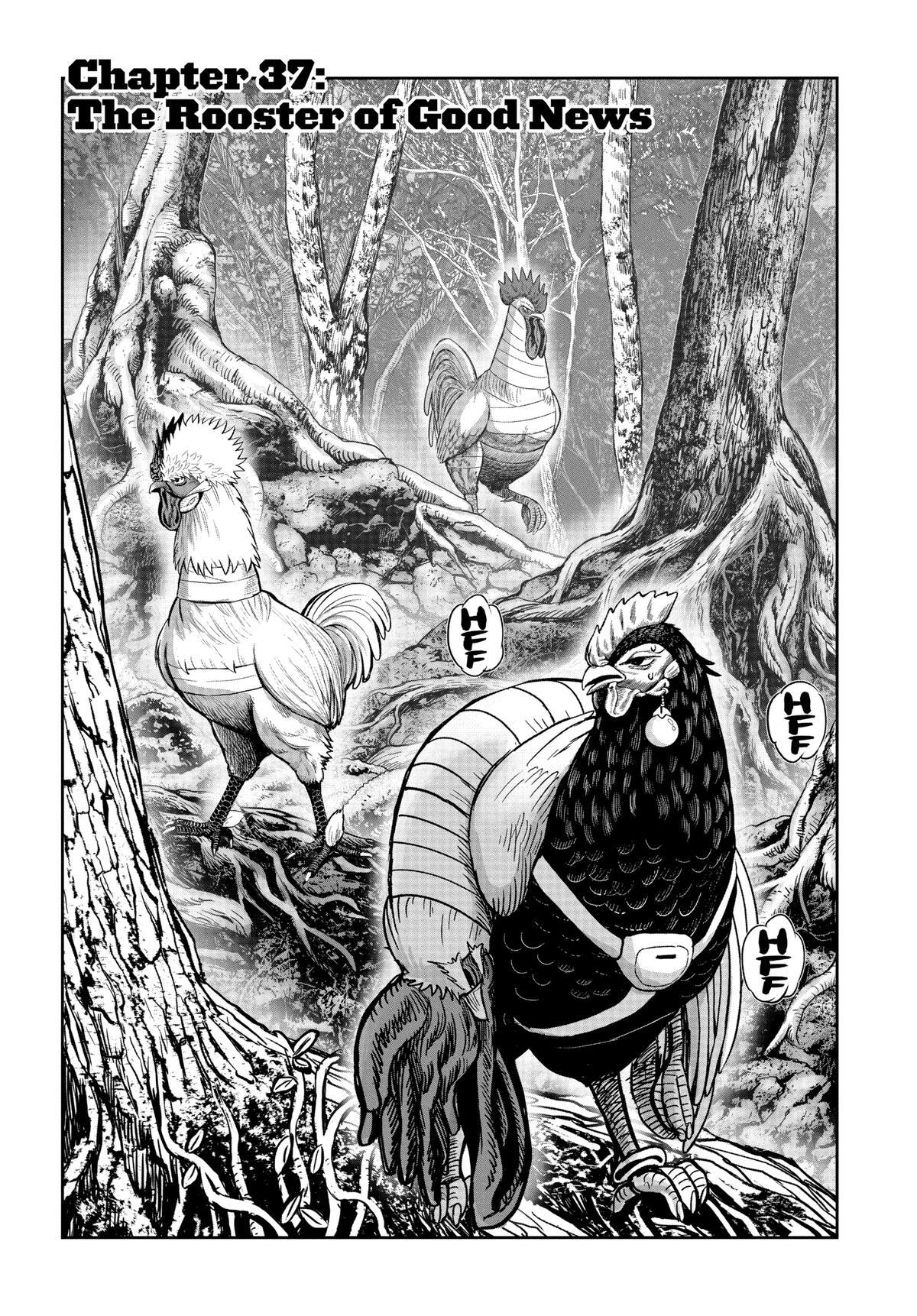Read Rooster Fighter Manga Online