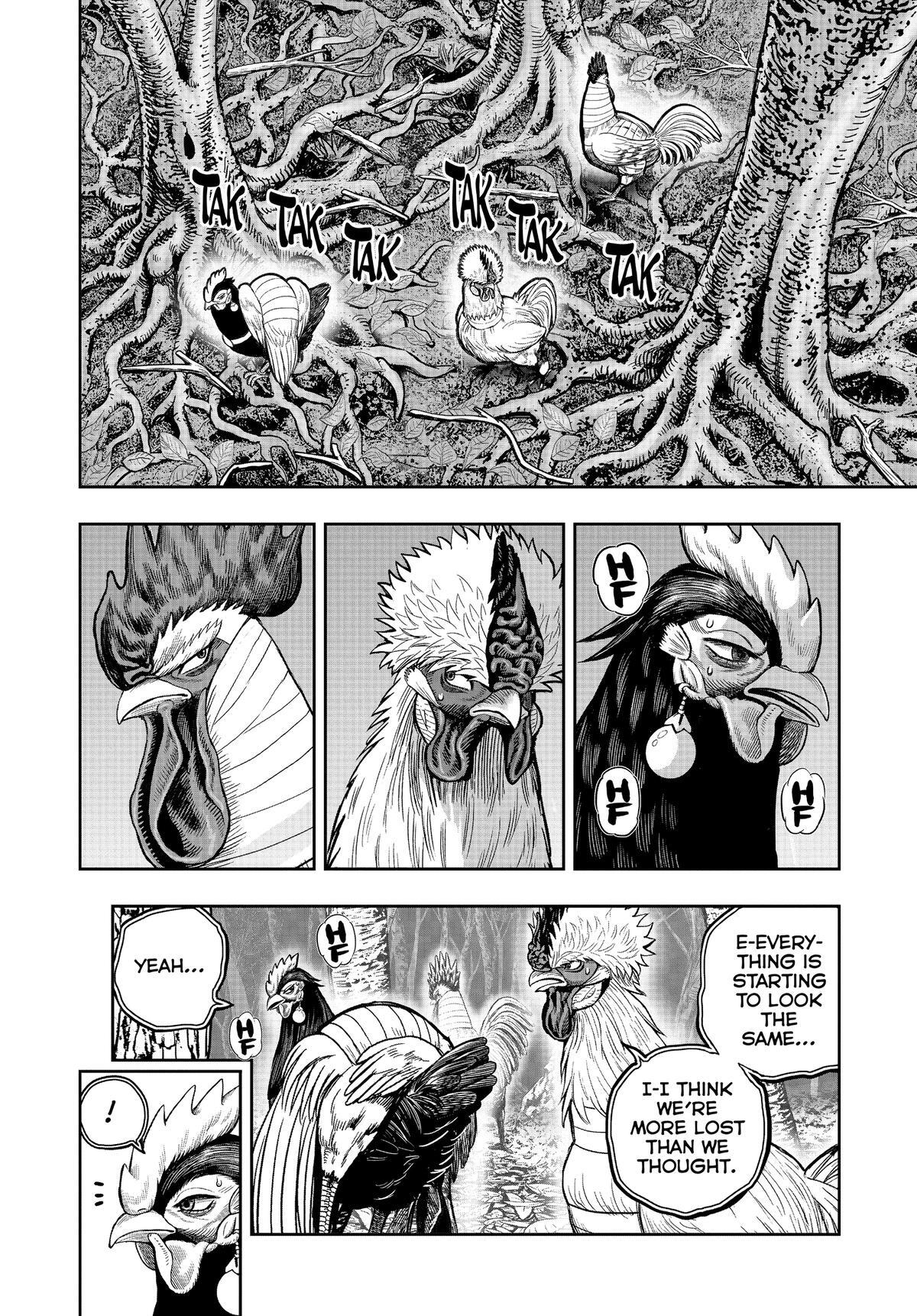Read Rooster Fighter Manga Online