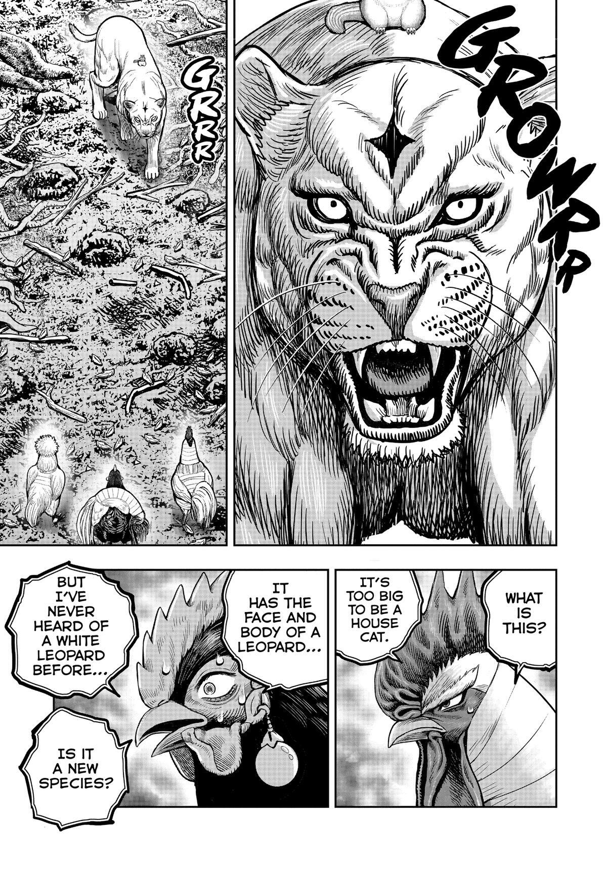 Read Rooster Fighter Manga Online