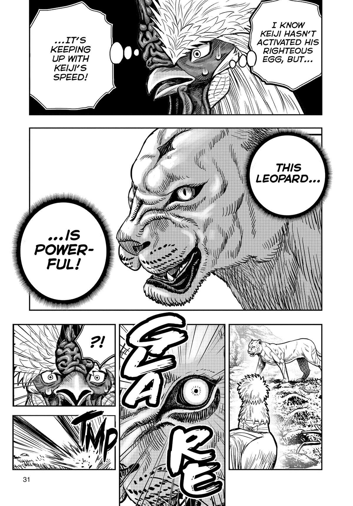 Read Rooster Fighter Manga Online