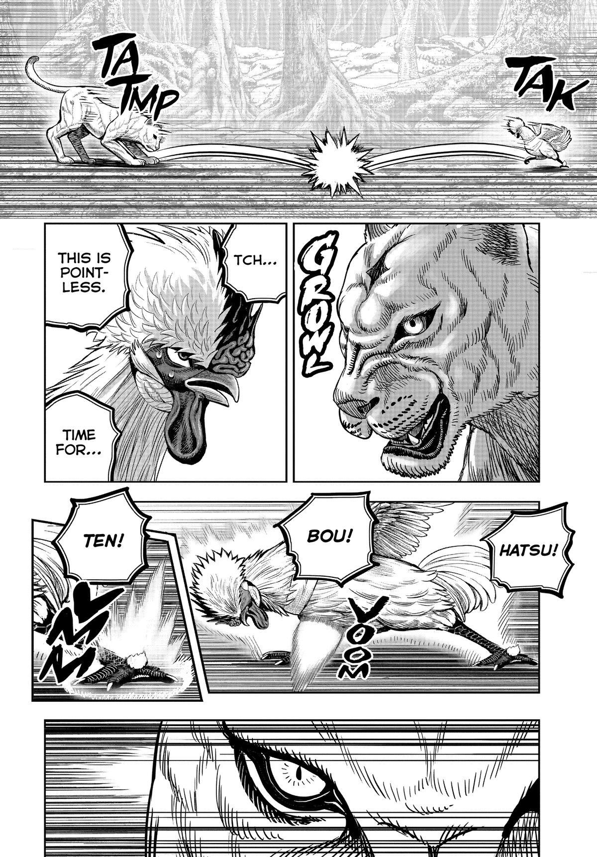 Read Rooster Fighter Manga Online