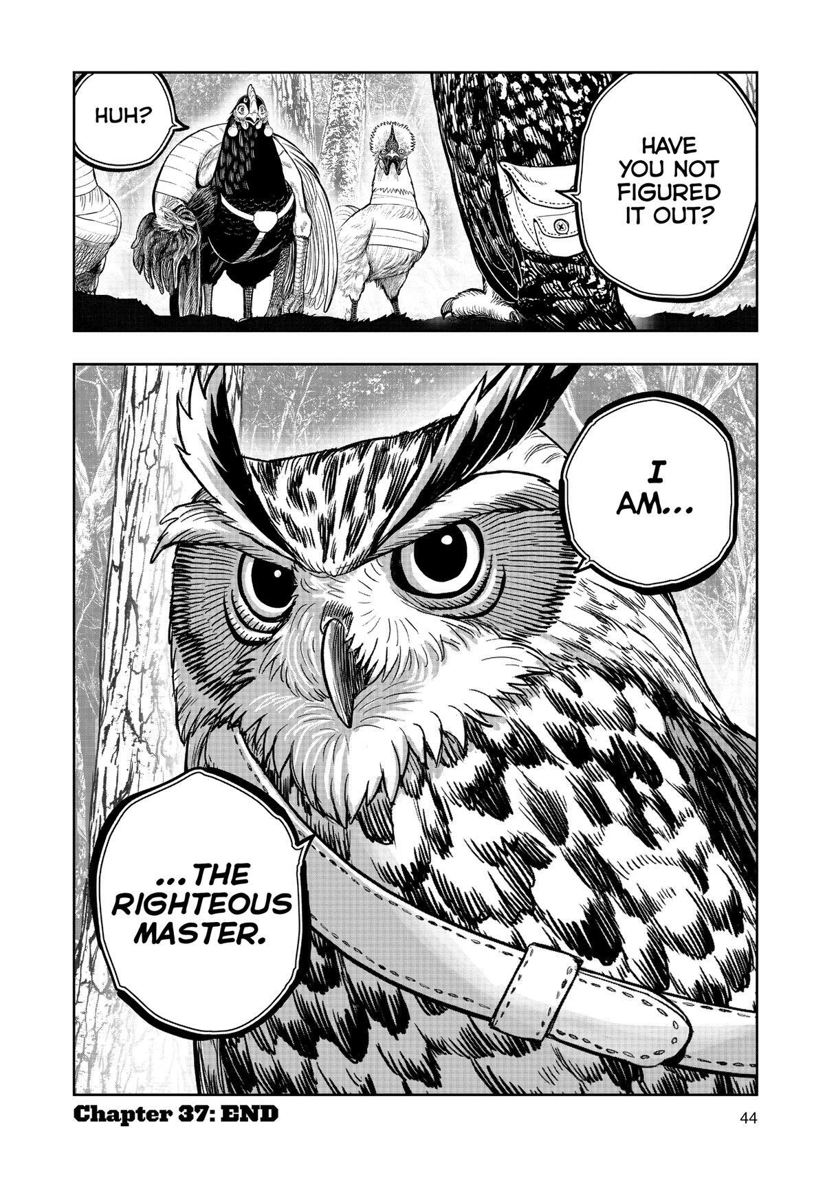 Read Rooster Fighter Manga Online