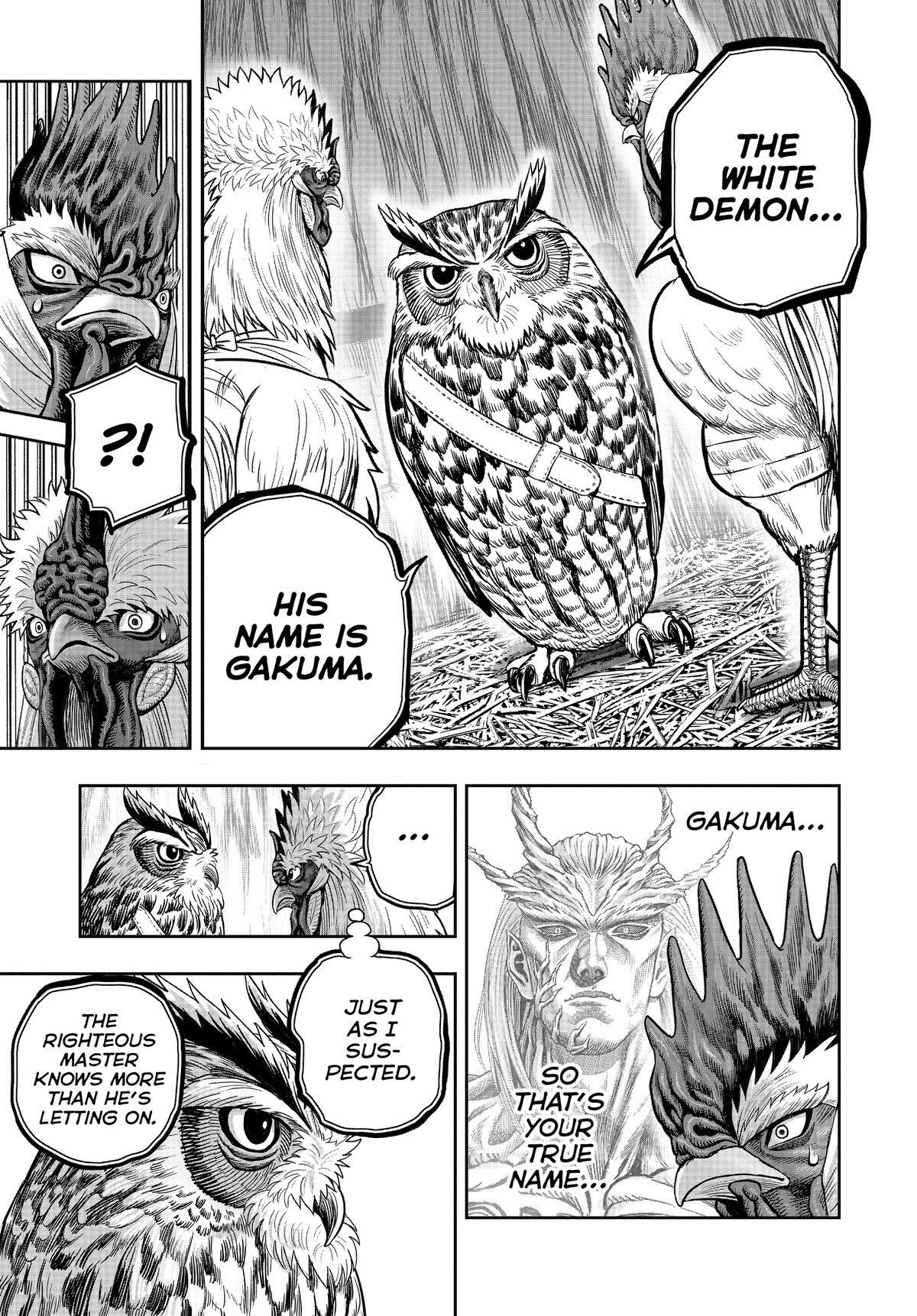 Read Rooster Fighter Manga Online