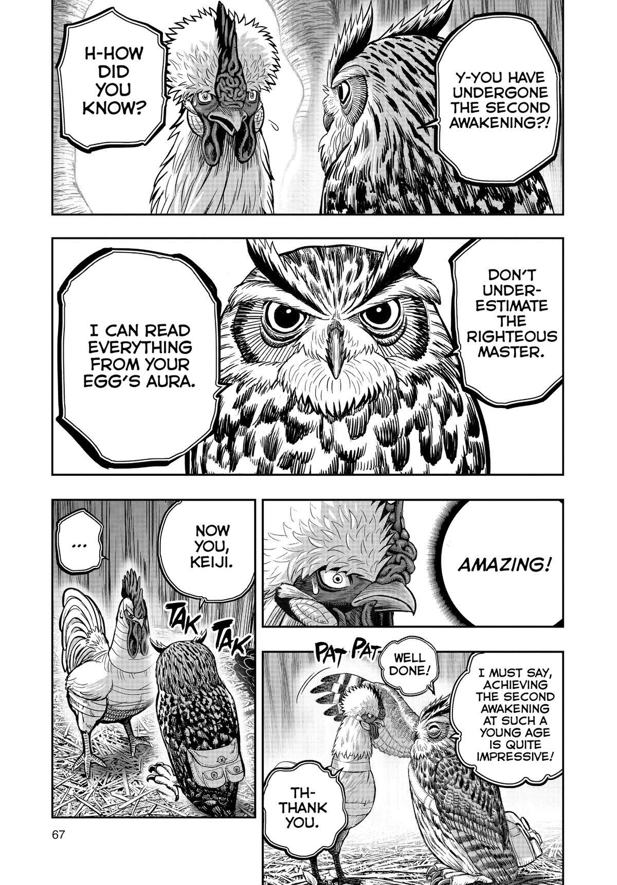 Read Rooster Fighter Manga Online