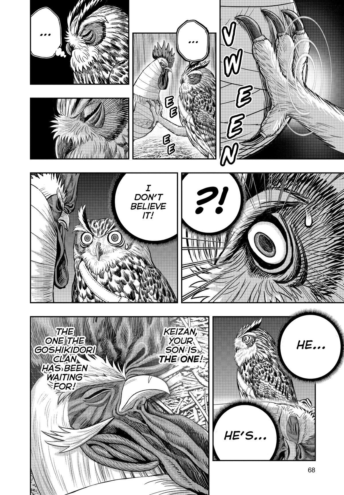 Read Rooster Fighter Manga Online