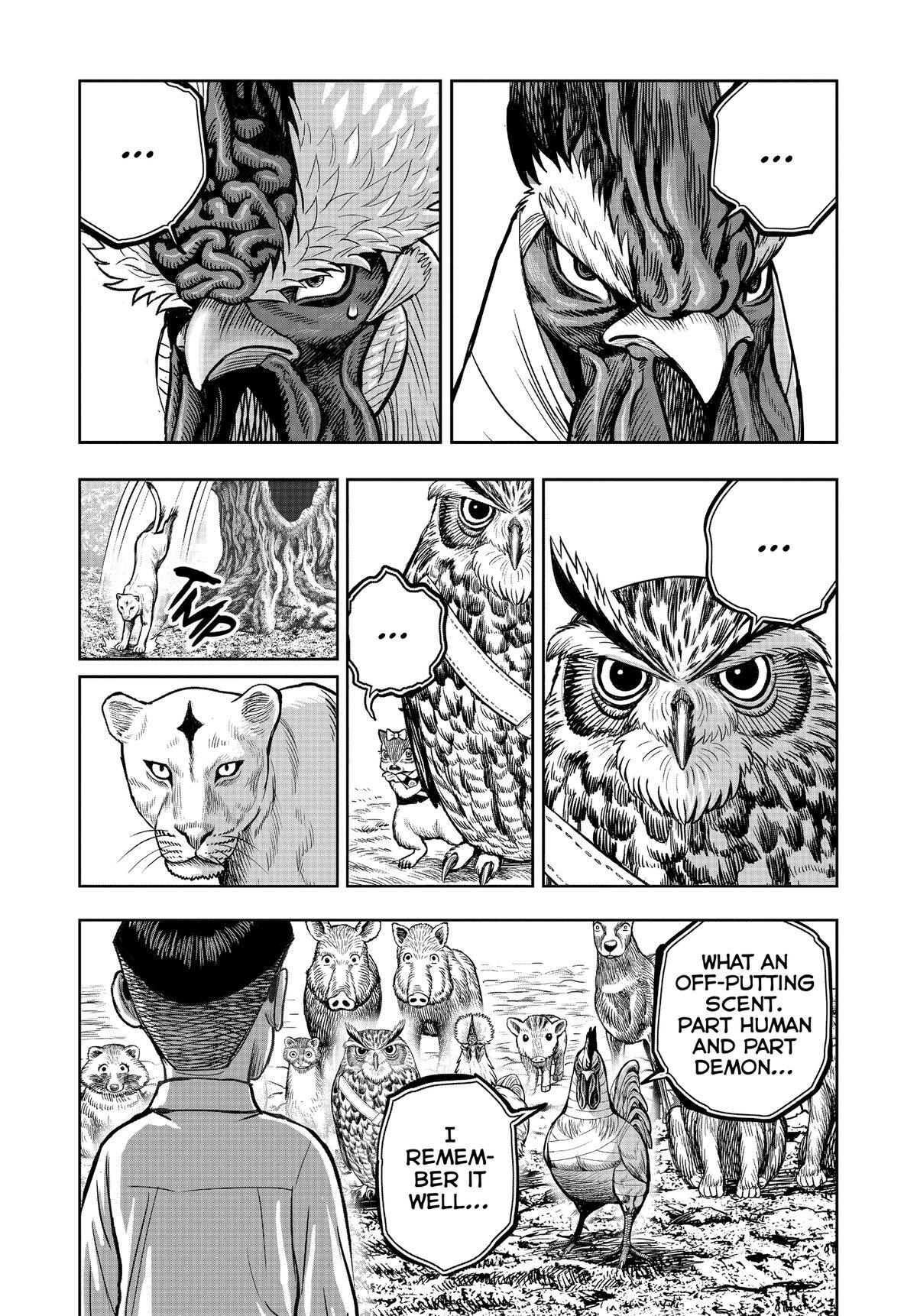 Read Rooster Fighter Manga Online