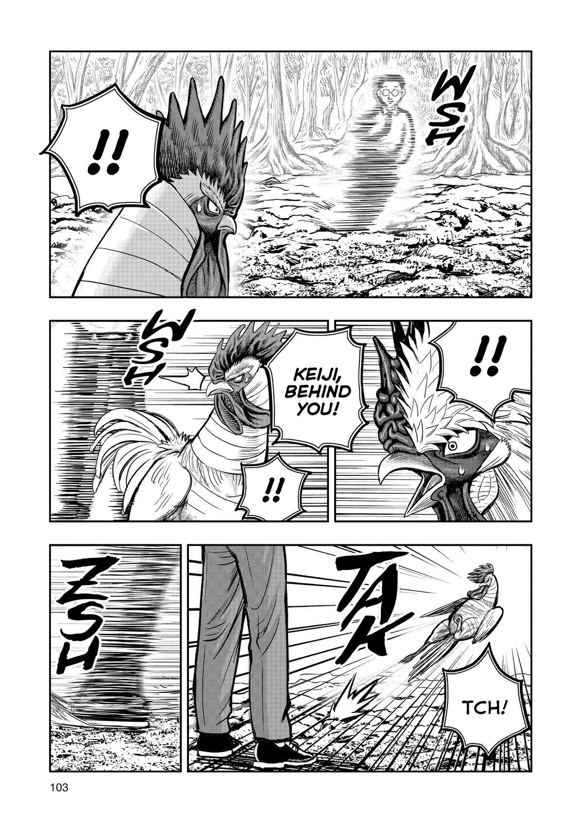 Read Rooster Fighter Manga Online