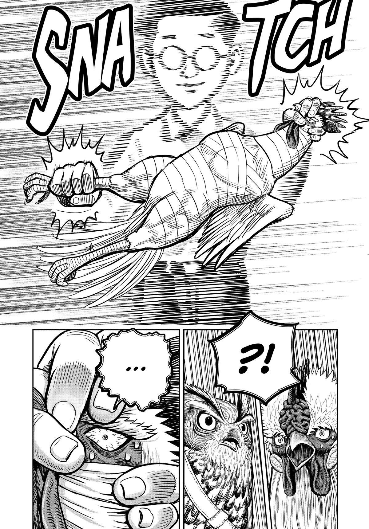 Read Rooster Fighter Manga Online