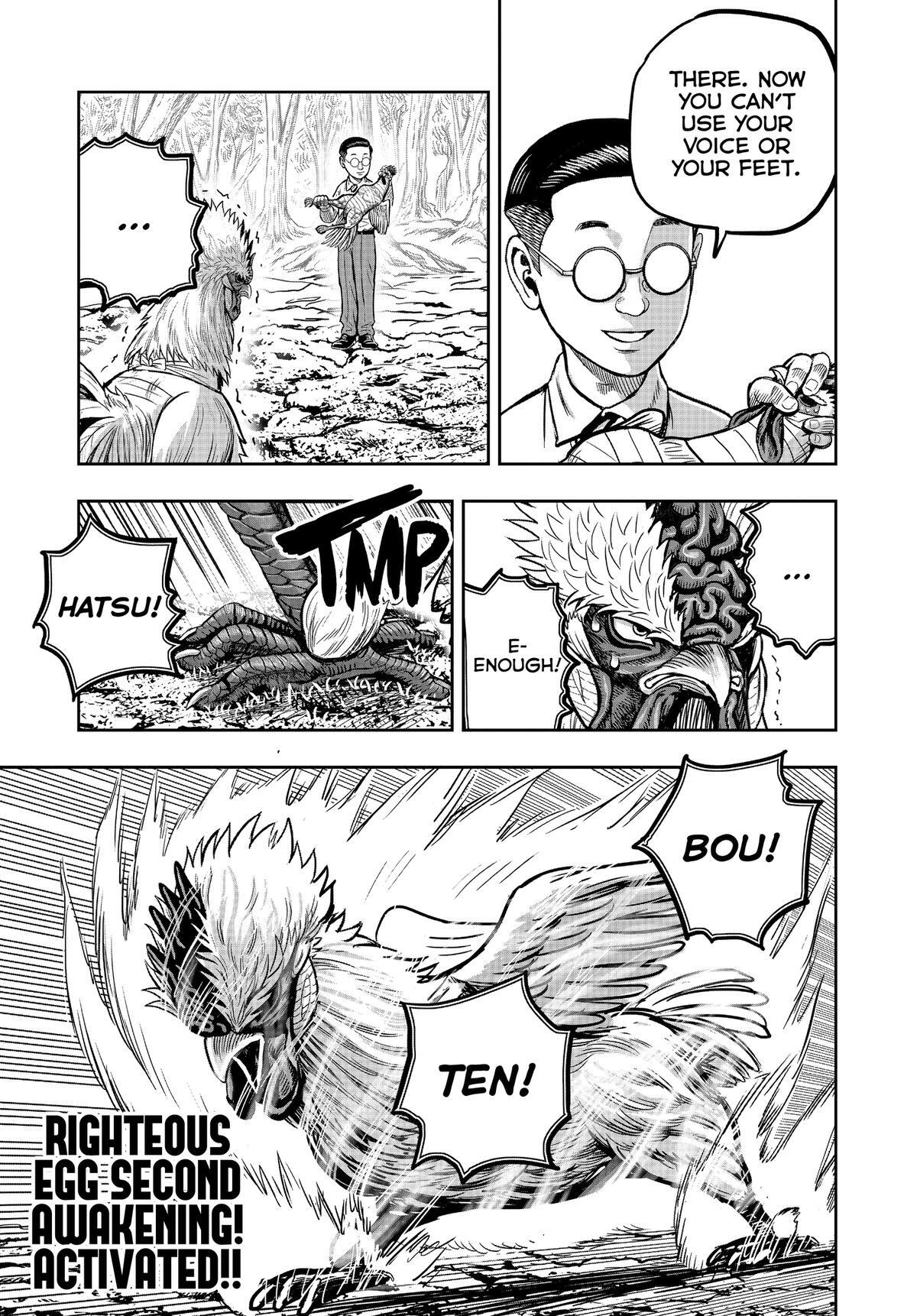 Read Rooster Fighter Manga Online