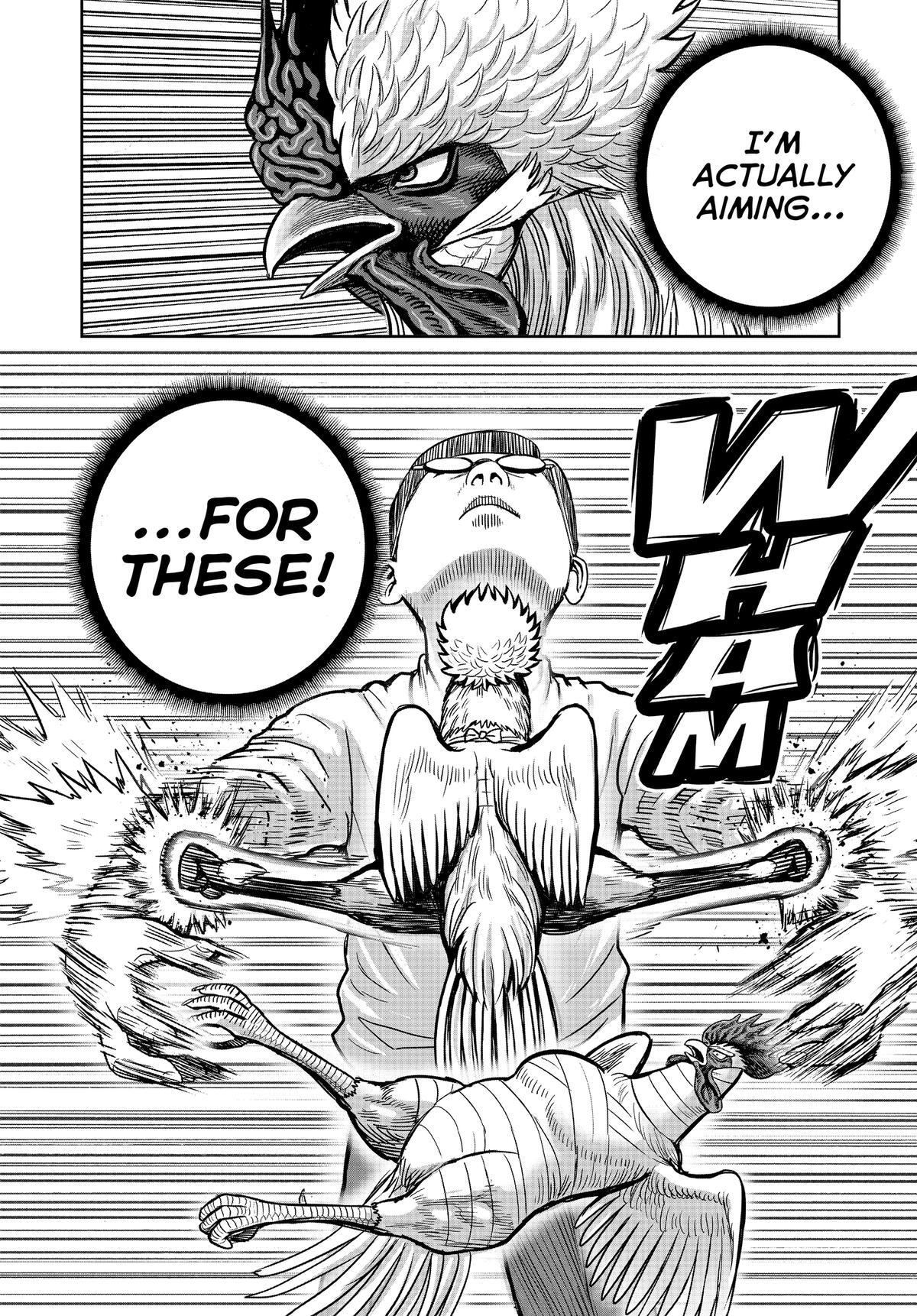 Read Rooster Fighter Manga Online