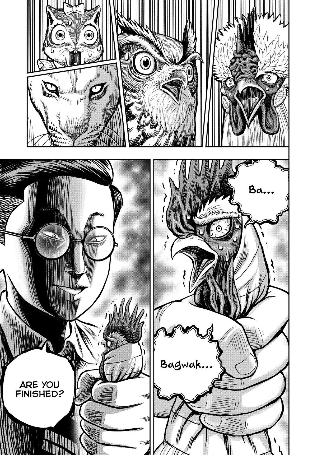 Read Rooster Fighter Manga Online