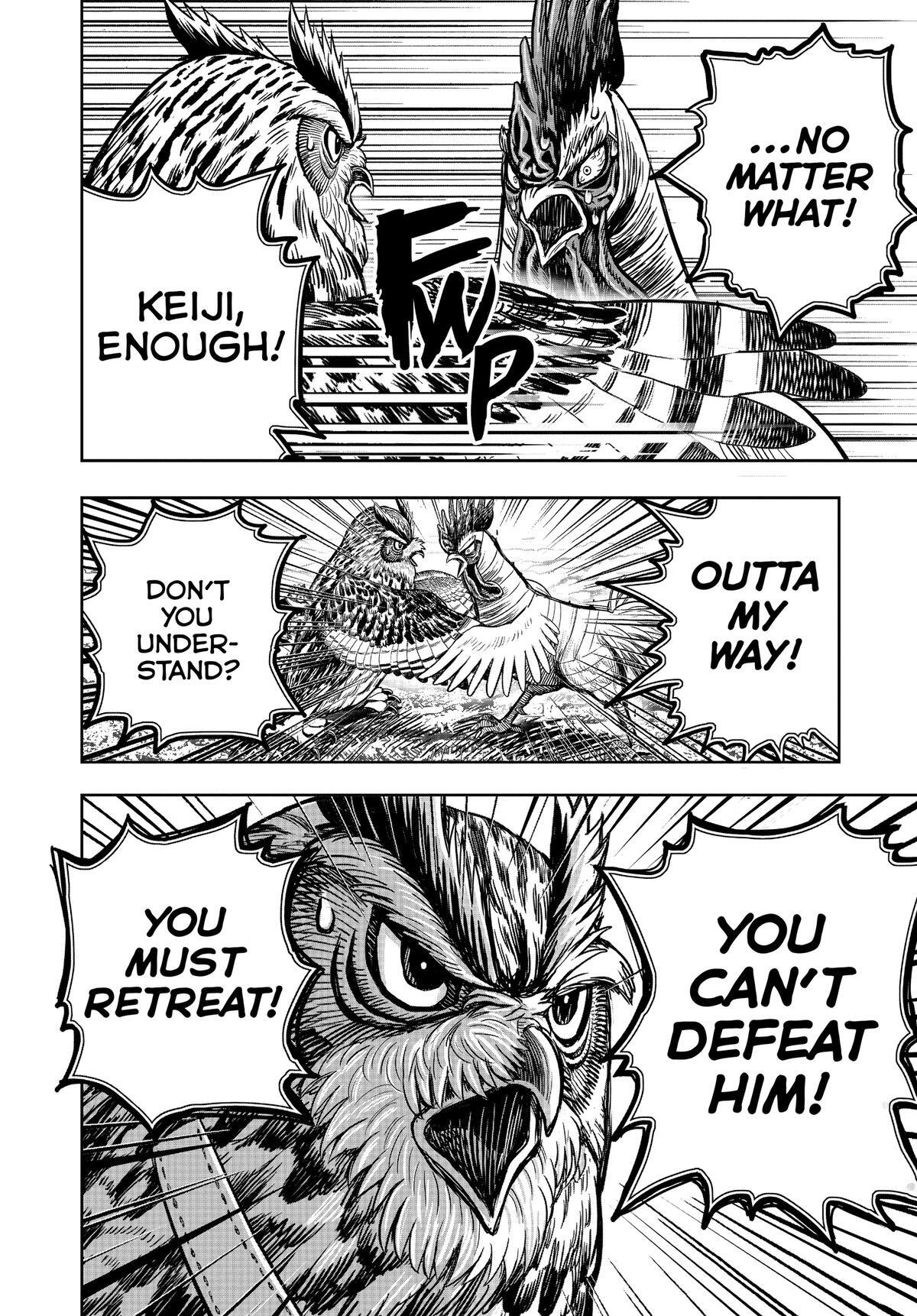 Read Rooster Fighter Manga Online