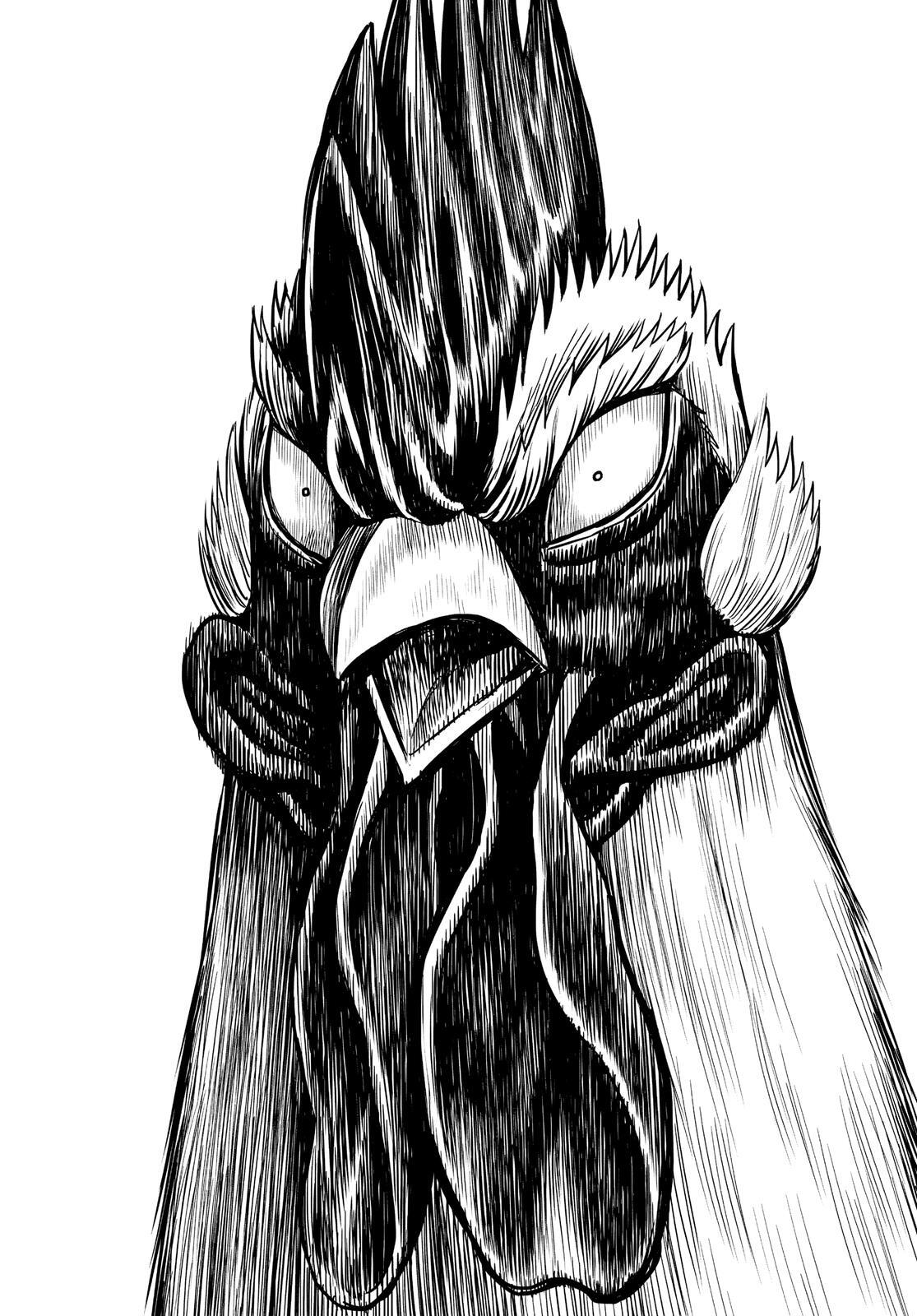 Read Rooster Fighter Manga Online