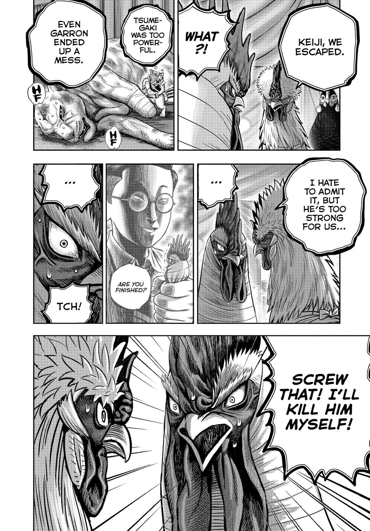 Read Rooster Fighter Manga Online