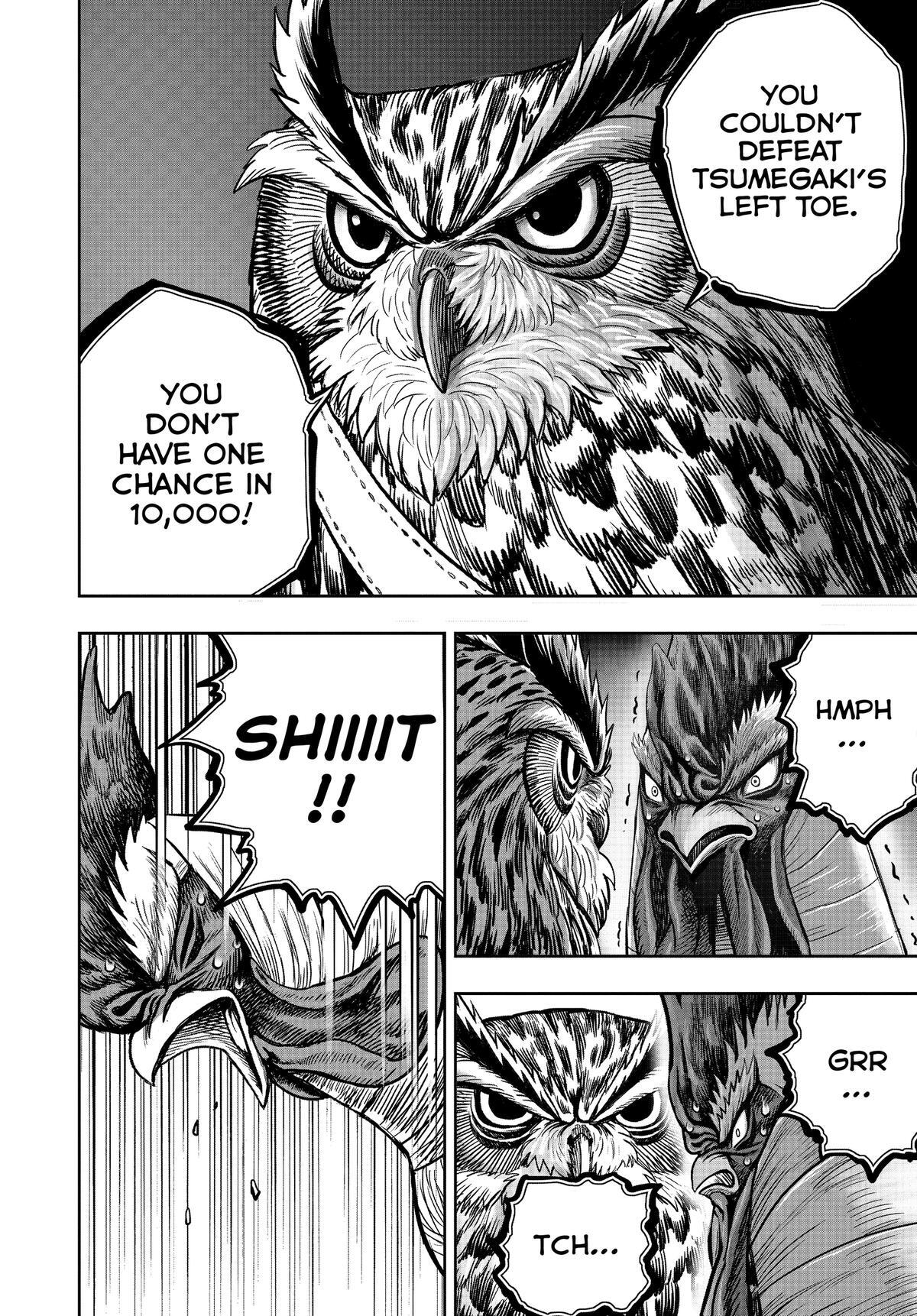 Read Rooster Fighter Manga Online