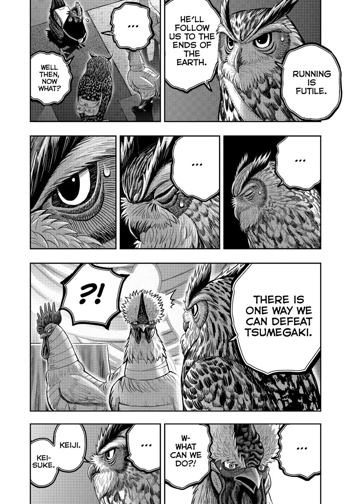 Read Rooster Fighter Manga Online