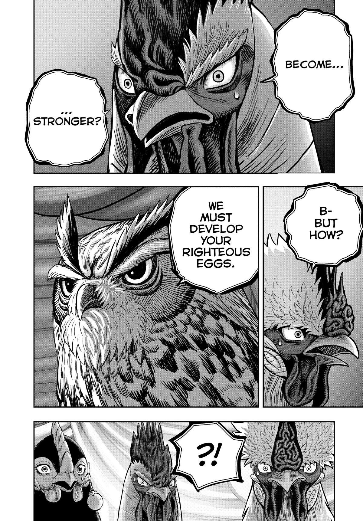 Read Rooster Fighter Manga Online