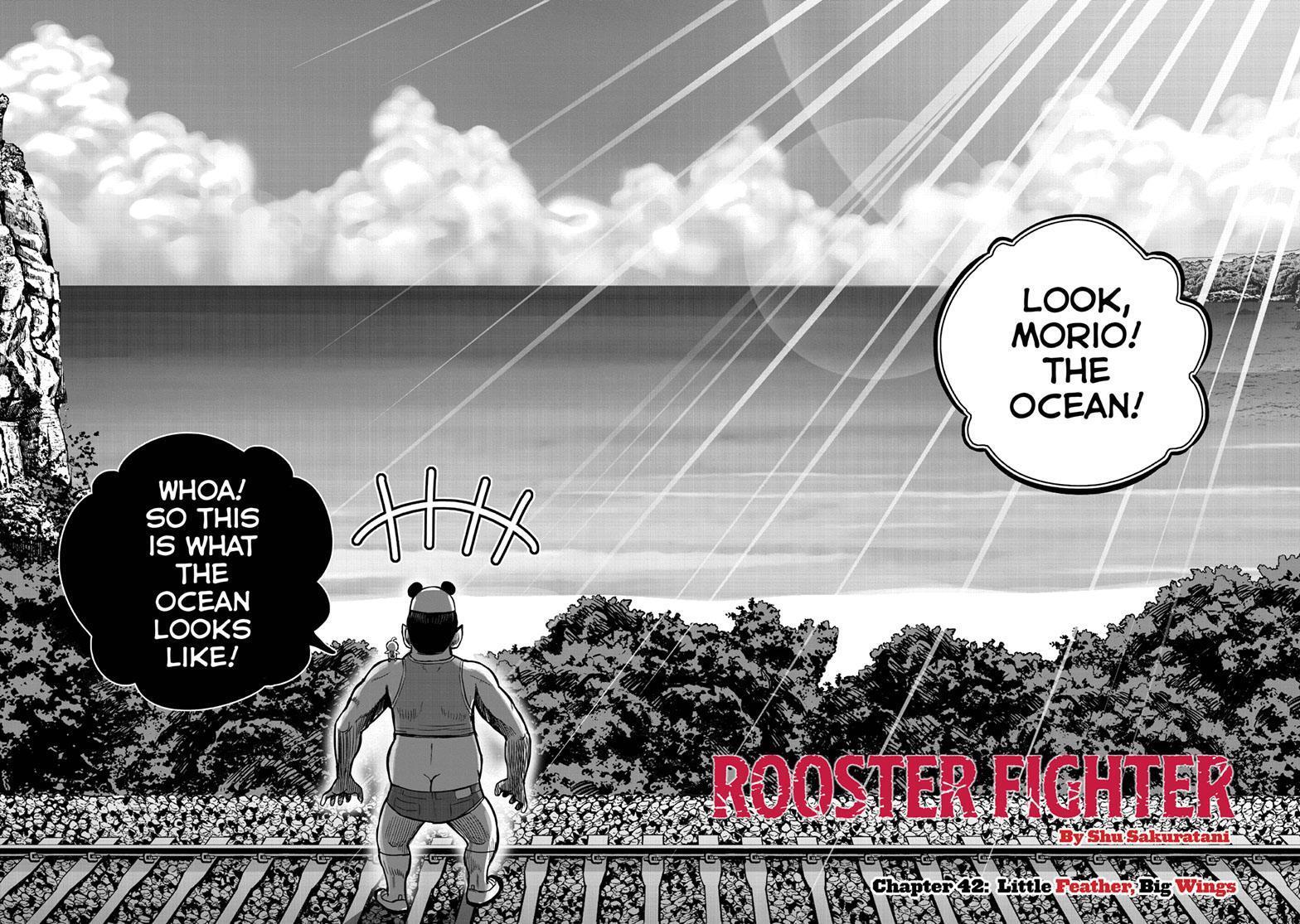 Read Rooster Fighter Manga Online