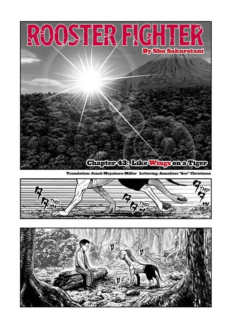 Read Rooster Fighter Manga Online