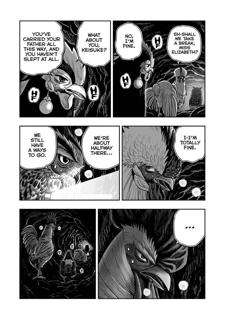 Read Rooster Fighter Manga Online