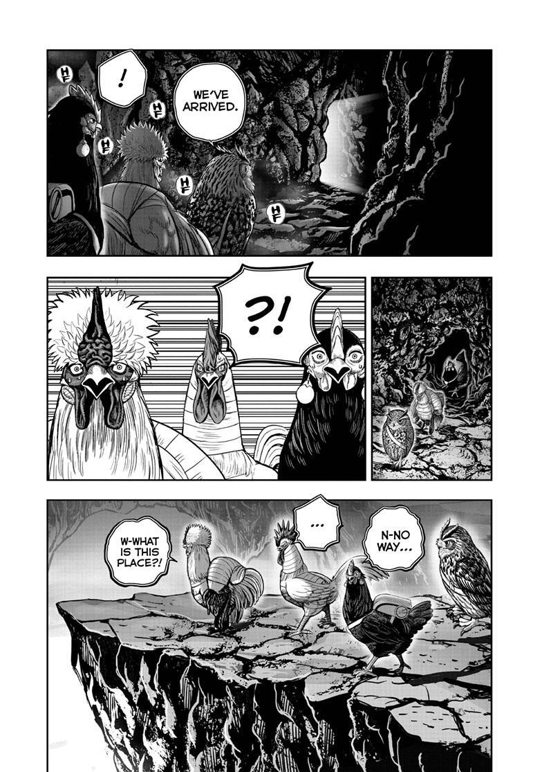 Read Rooster Fighter Manga Online