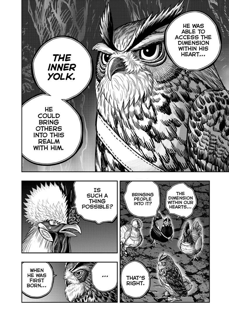 Read Rooster Fighter Manga Online