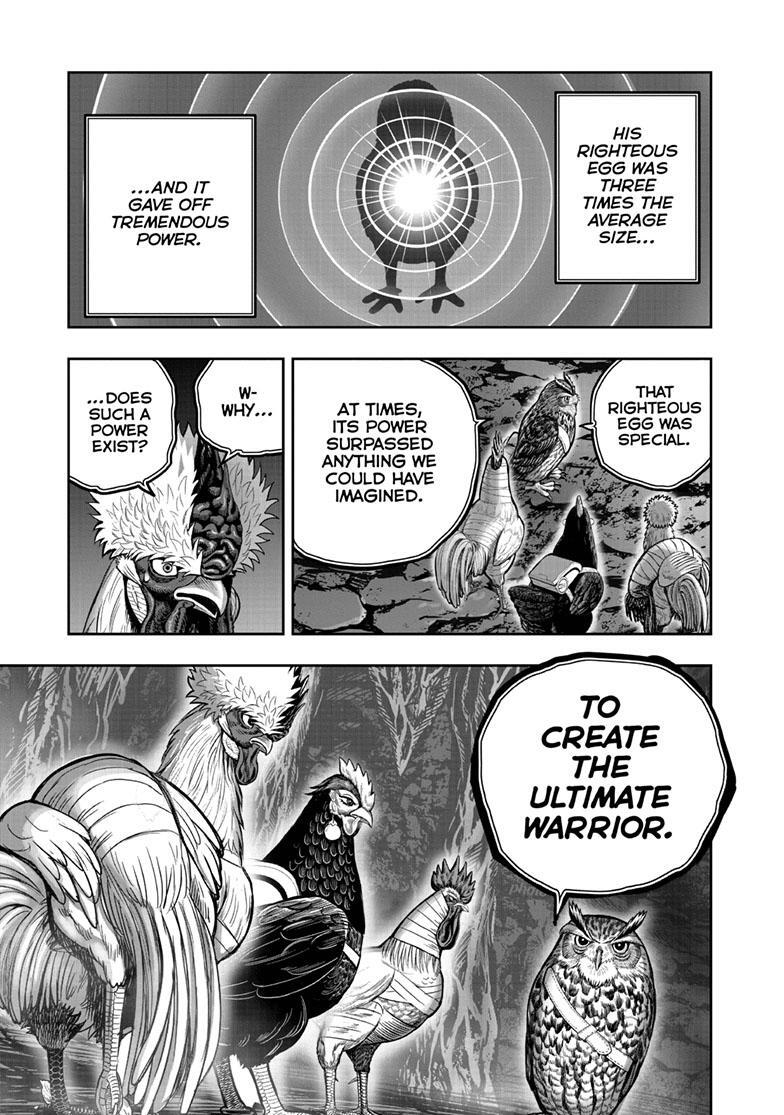 Read Rooster Fighter Manga Online